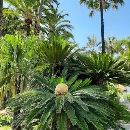 Orient Palace, Jardin Exotique - 85m2 Apartament